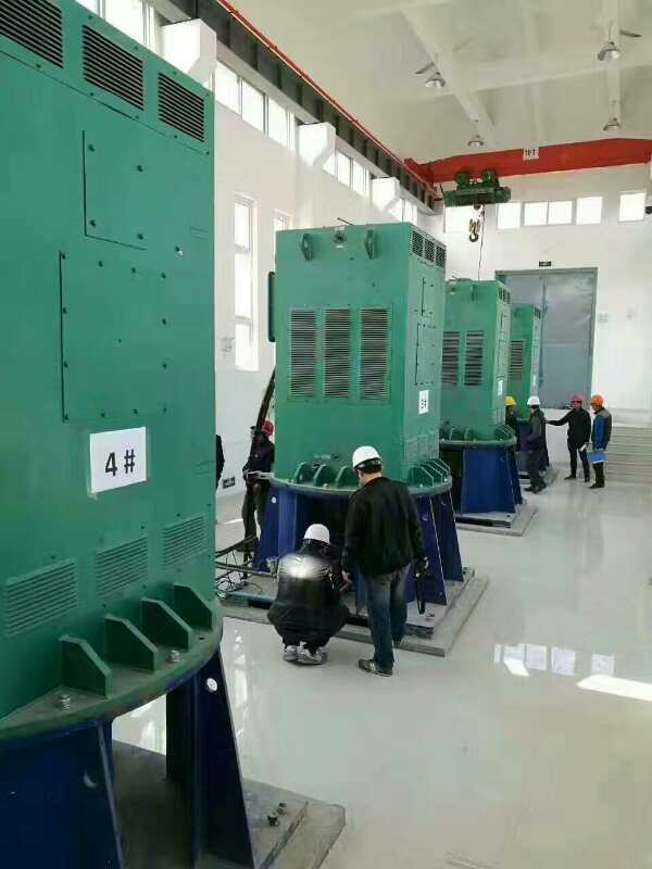 罗庄某污水处理厂使用我厂的立式高压电机安装现场