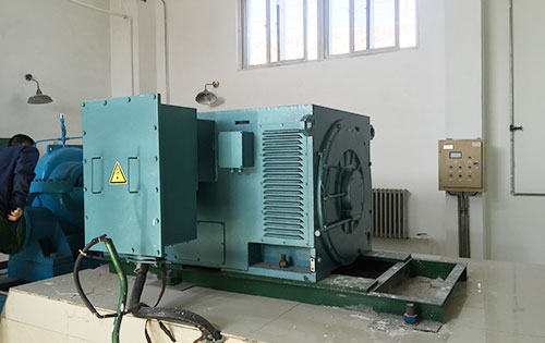 罗庄某水电站工程主水泵使用我公司高压电机